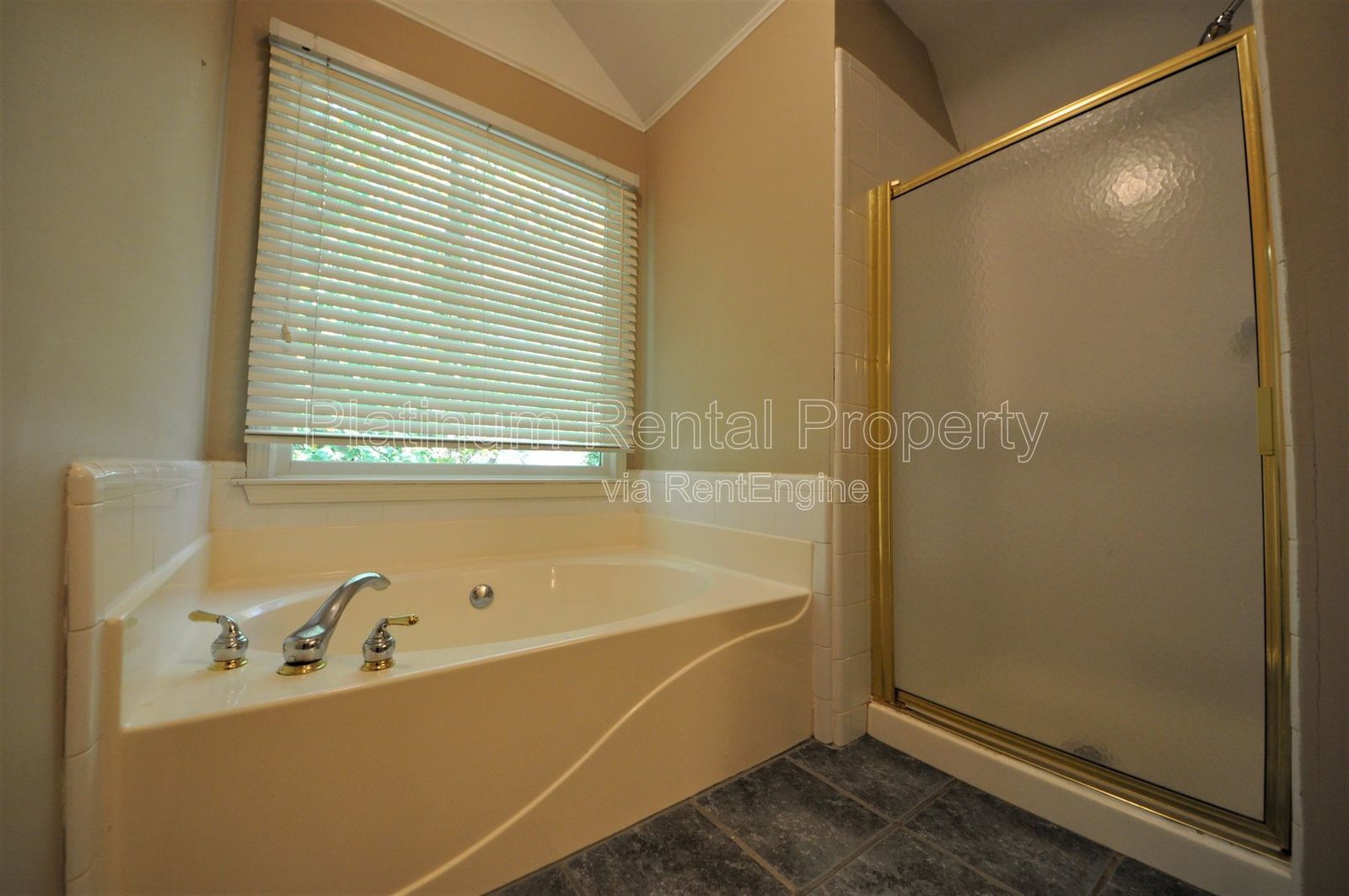 4 Bedroom home for rent in Cumming by Platinum Property Management property image