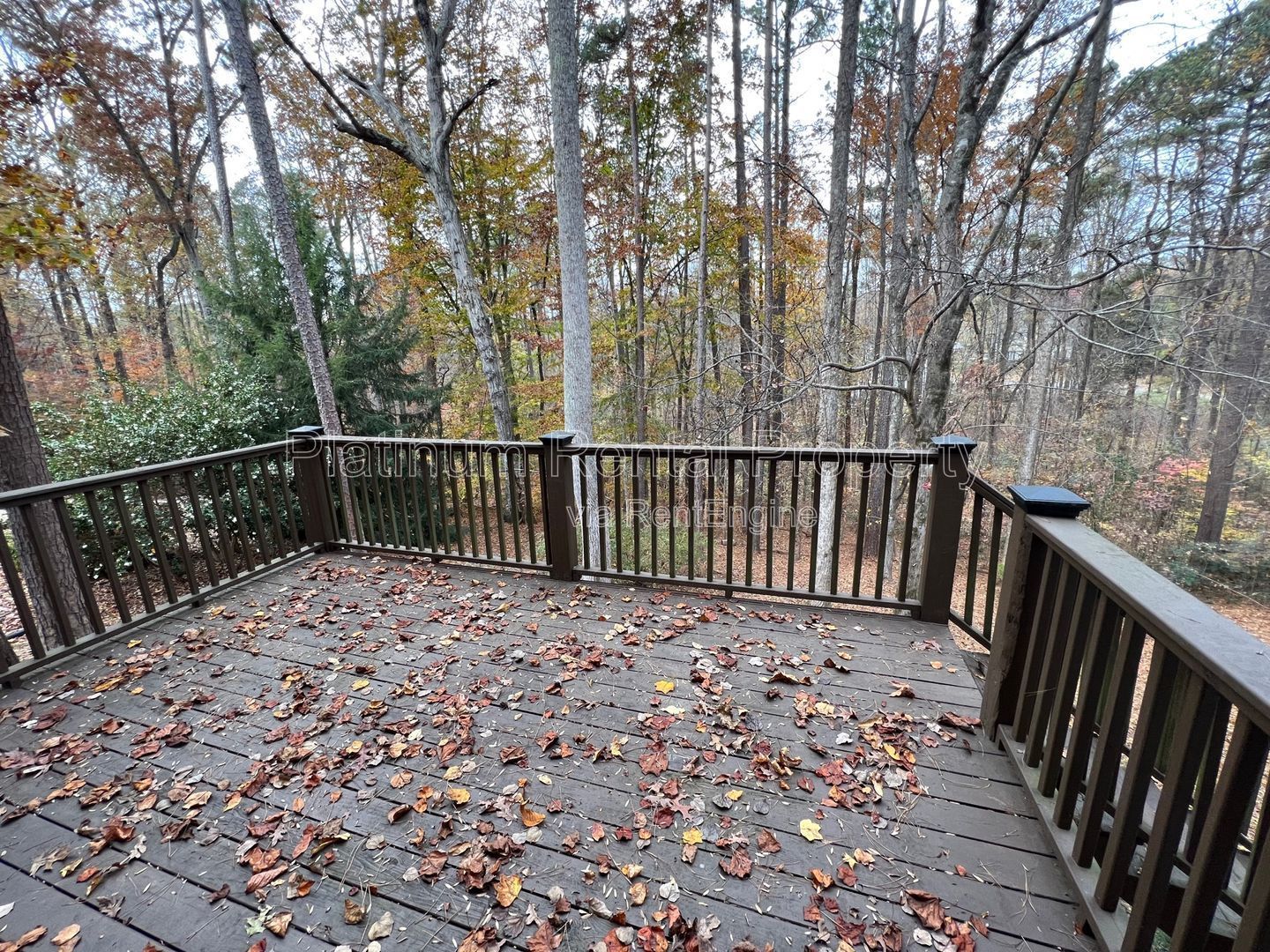 4 Bedroom home for rent in Cumming by Platinum Property Management property image