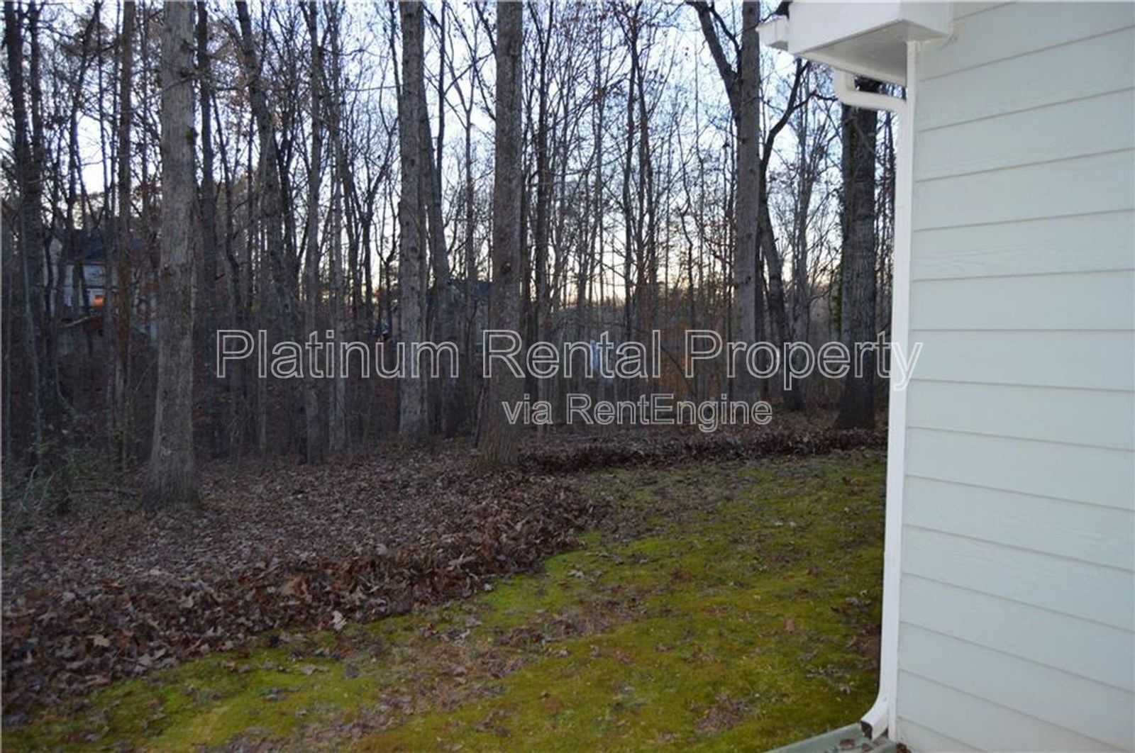 Peaceful 3 bedroom 2.5 bathroom home in Dawsonville by Platinum Property Management Services, Inc. property image