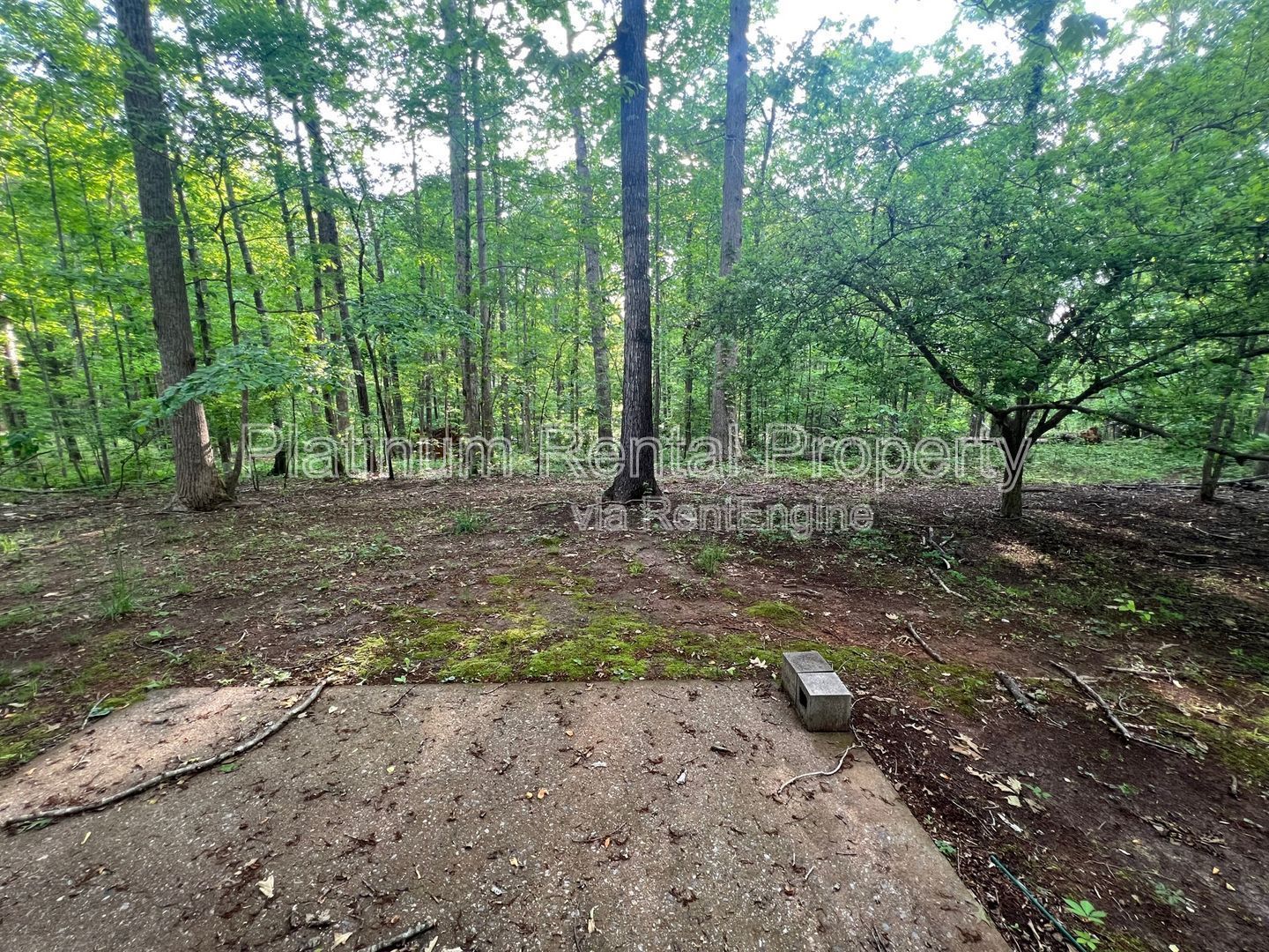 Peaceful 3 bedroom 2.5 bathroom home in Dawsonville by Platinum Property Management Services, Inc. property image