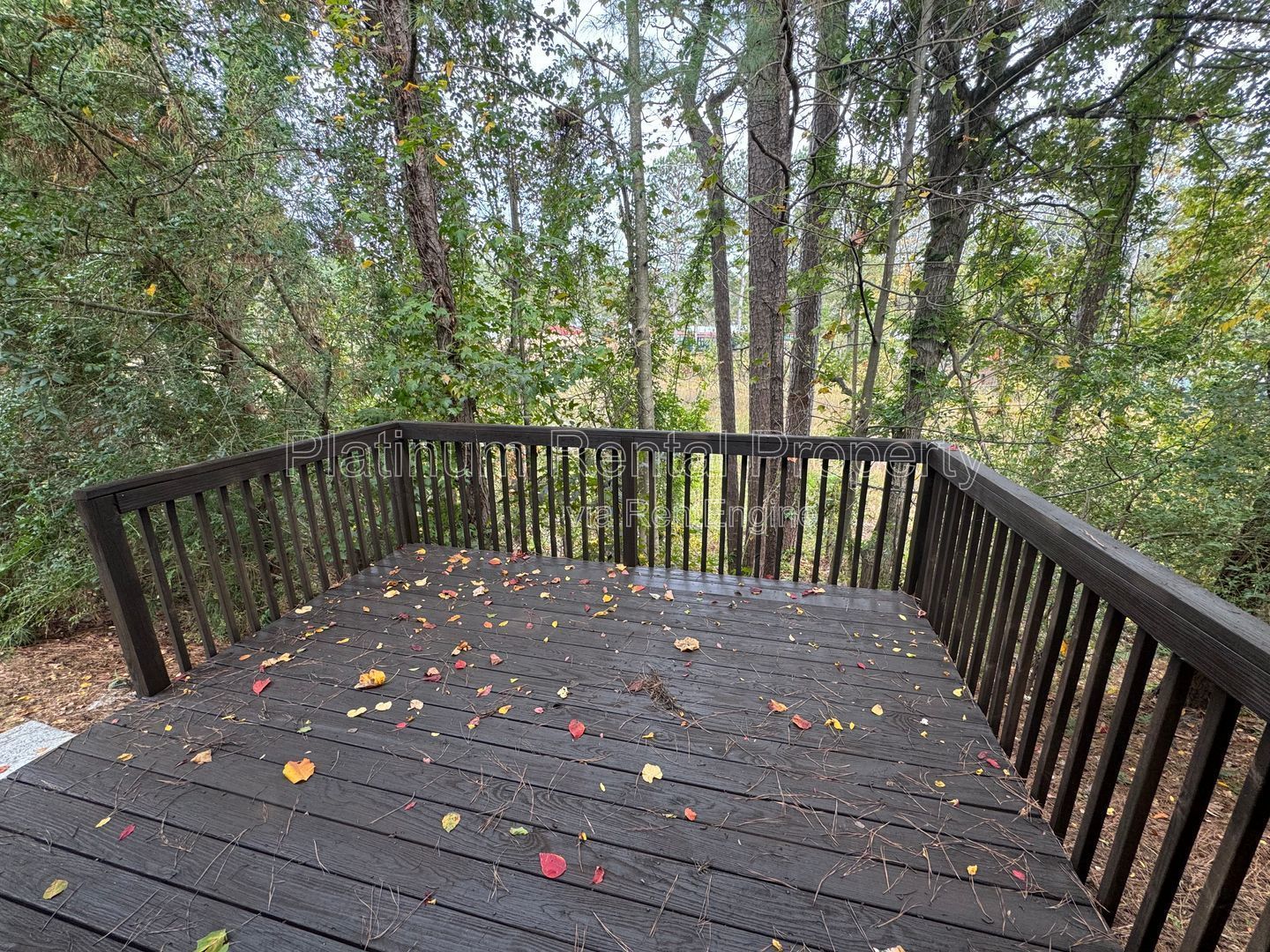 4 Bedroom Alpharetta Home For Rent by Platinum Property Management Services, Inc. property image