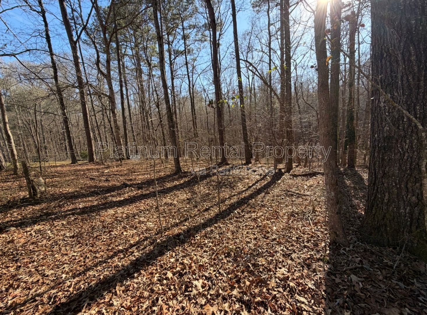 3 Bedroom Auburn Home with large lot For Rent by Platinum Property Management Services, Inc. property image